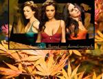 charmed
